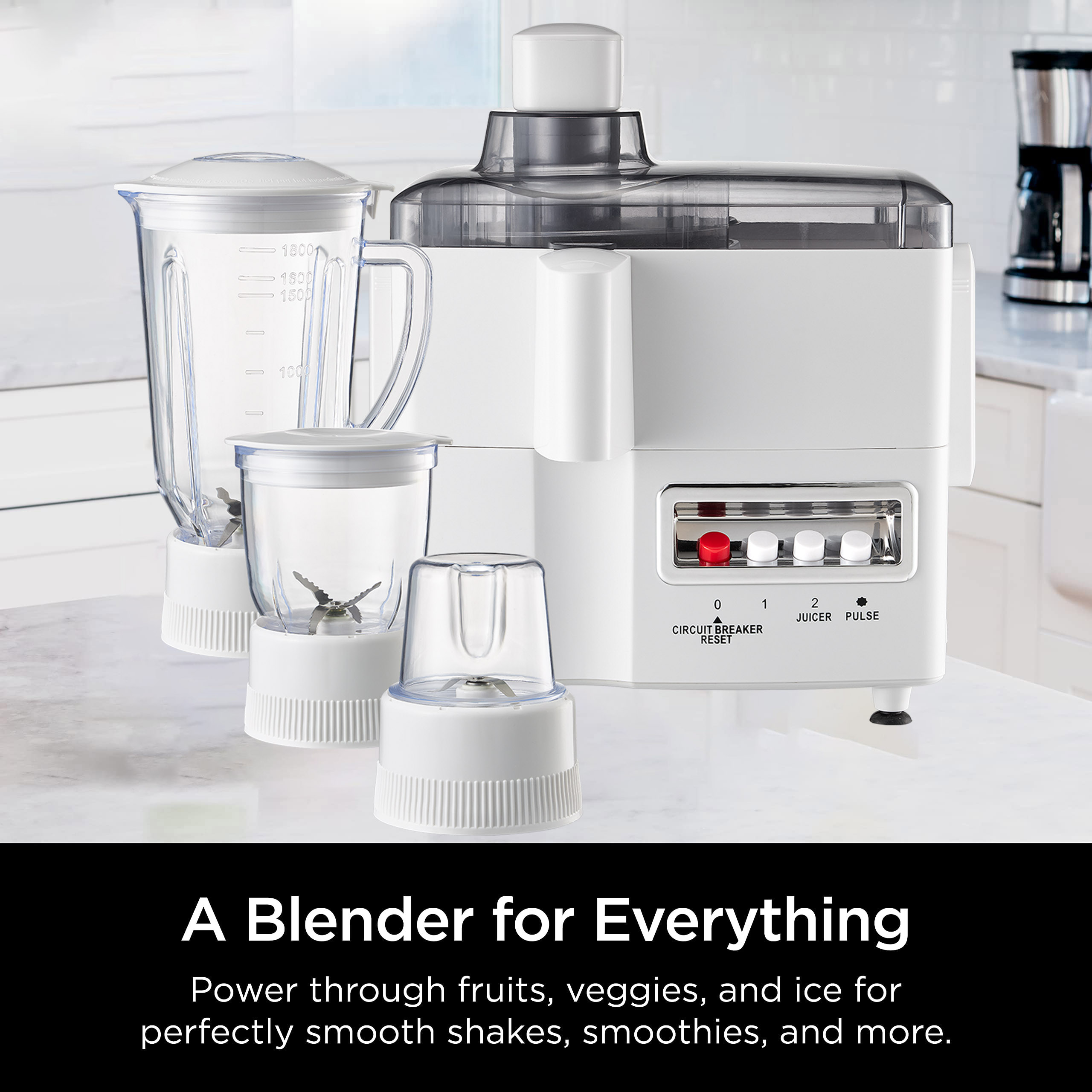 4 in 1 Multi-Purpose Household - Blender review and price