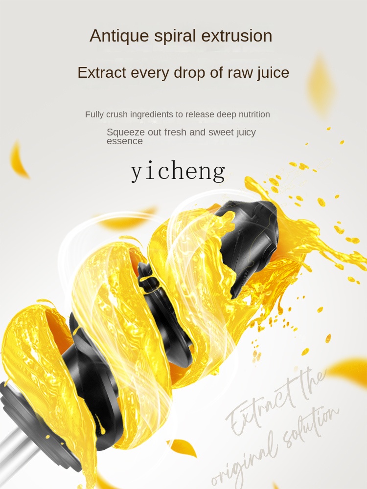 cc28 Low Speed Juicer Juicer S - Juicer review and price