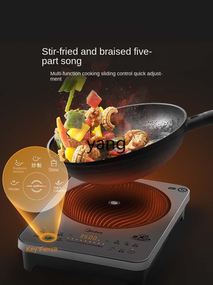LMM Household Induction Cooker - Induction Cooker review and price