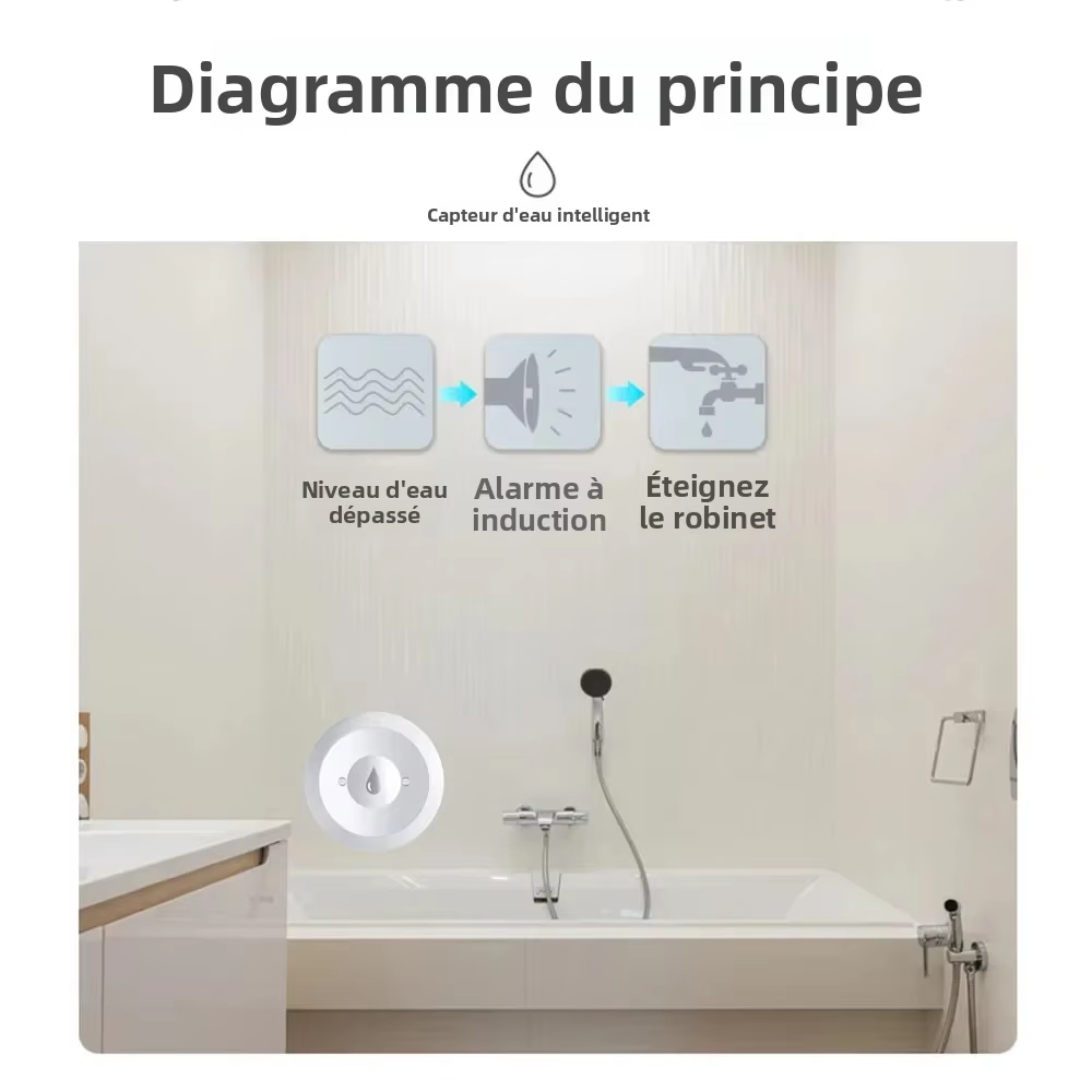 Water Sensor Flood Leak Detect - Kitchen Appliances Video review and price