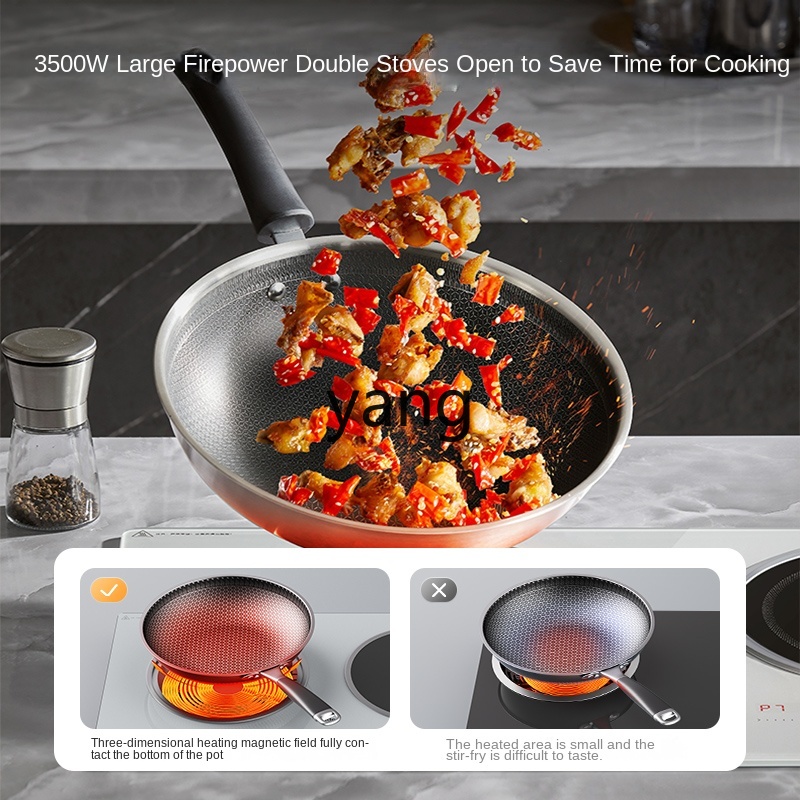 LMM Double Burner Embedded Hou - Induction Cooker review and price