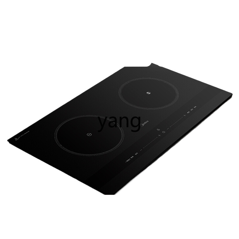 CX  induction cooker double st - Induction Cooker review and price